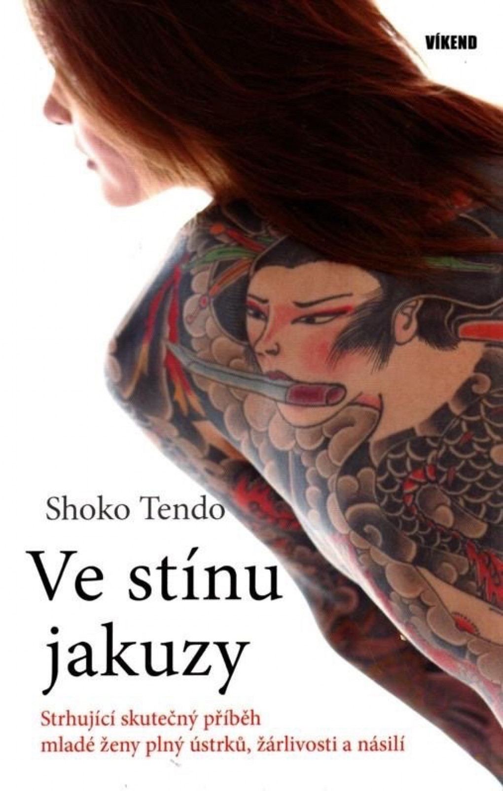 ve_stinu_jakuzy.jpg